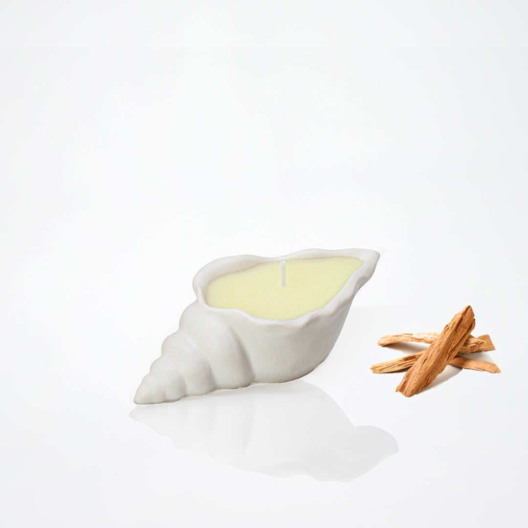 Bougie parfumée forme de coquillage blanc, parfum santal - May26