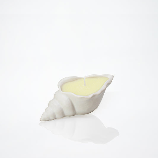 Bougie parfumée en forme de coquillage blanc - May26