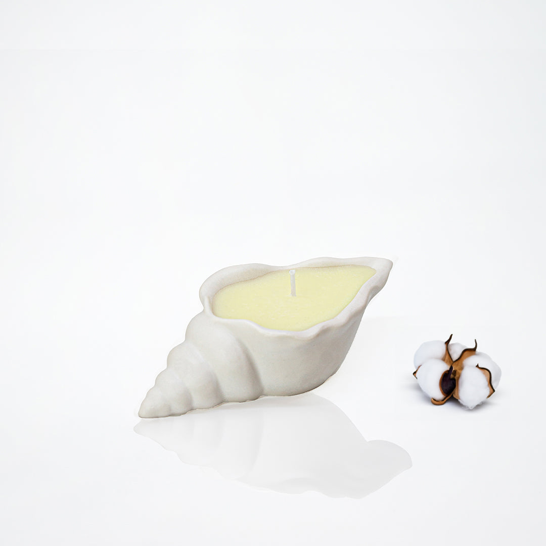 Bougie parfumée forme de coquillage blanc, parfum fleur de coton- May26