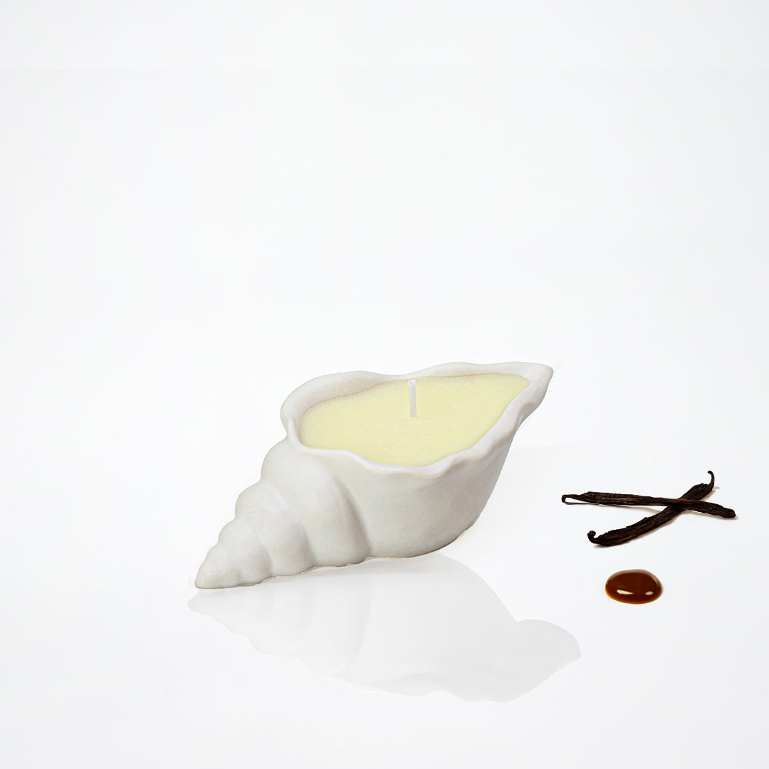 Bougie parfumée forme de coquillage blanc, parfum Vanille Caramel - May26
